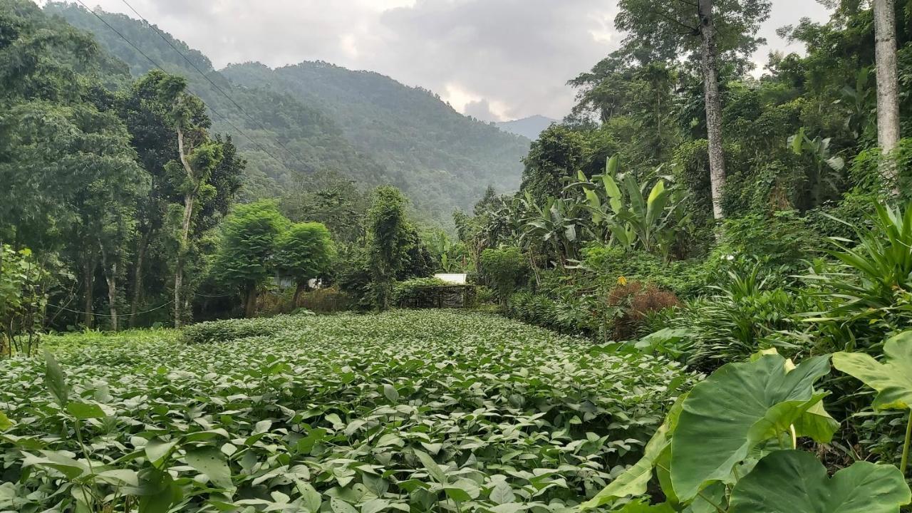 Eviana Homestay Darjeeling  Ngoại thất bức ảnh