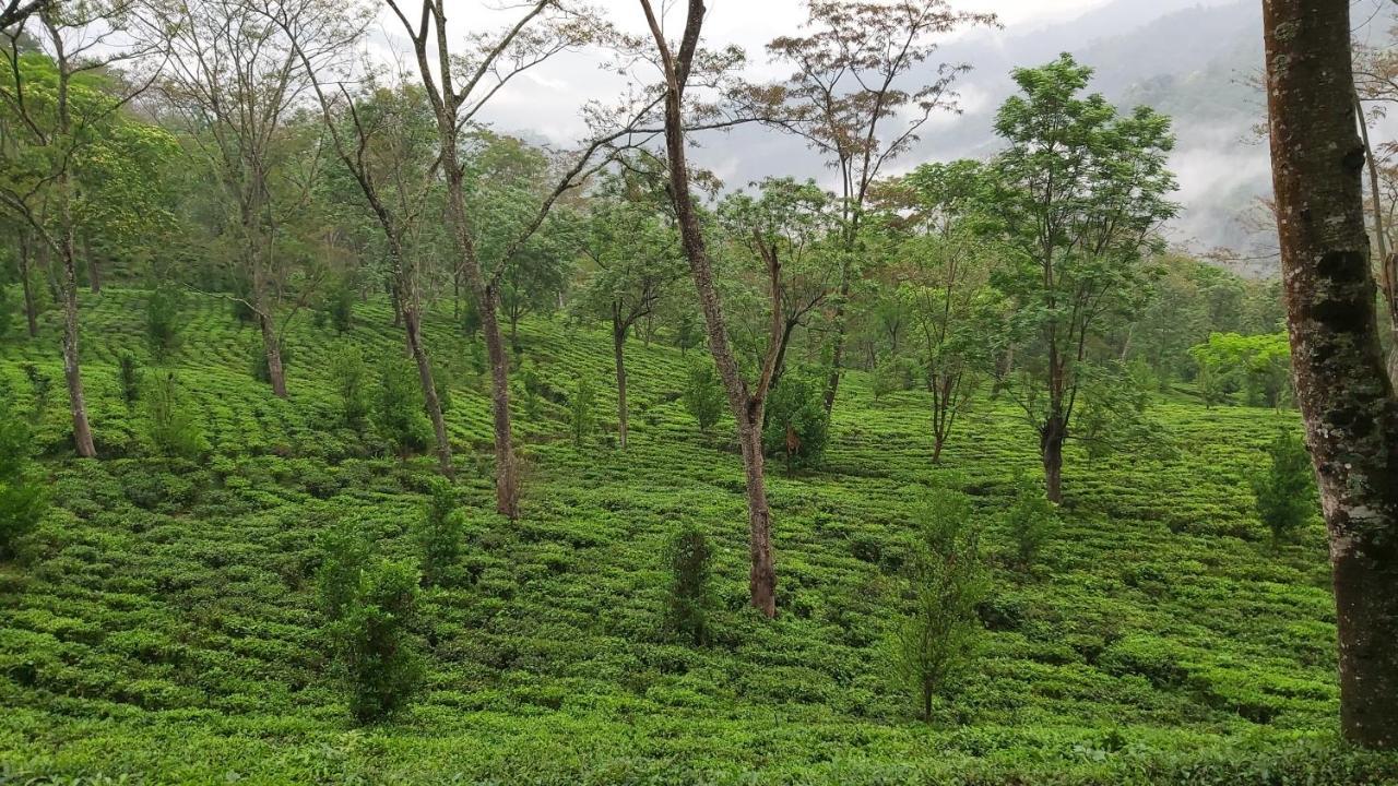 Eviana Homestay Darjeeling  Ngoại thất bức ảnh