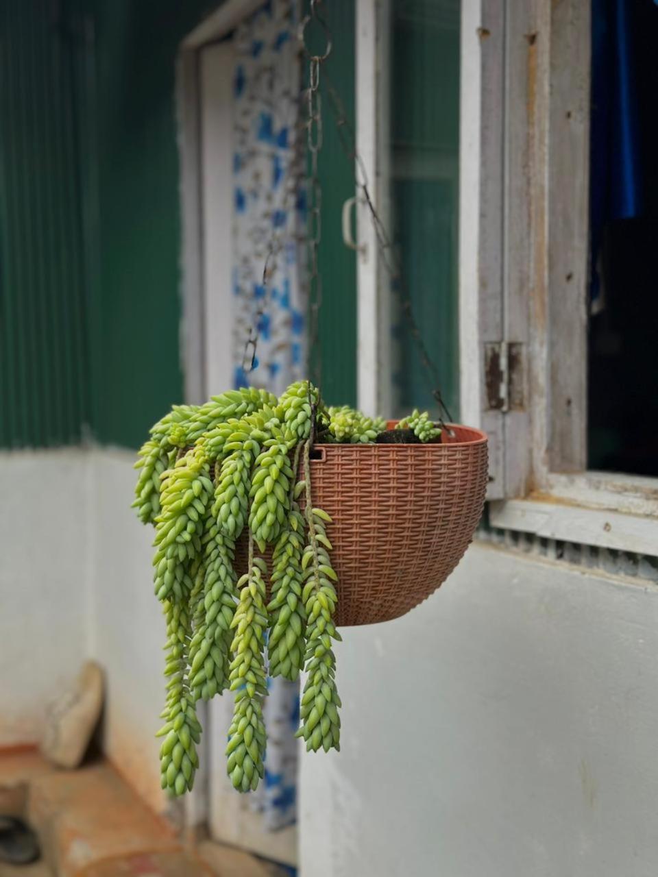 Eviana Homestay Darjeeling  Ngoại thất bức ảnh