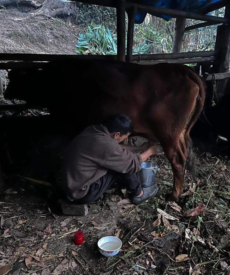 Eviana Homestay Darjeeling  Ngoại thất bức ảnh