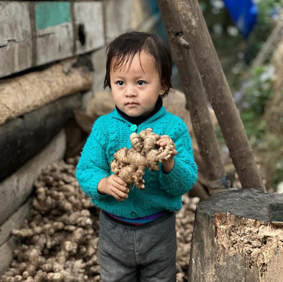 Eviana Homestay Darjeeling  Ngoại thất bức ảnh